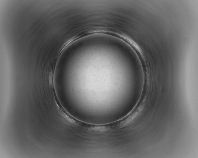 X0000116370953200912021151