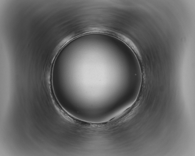X0000116370954200912021151