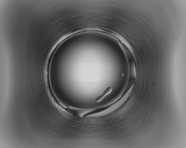 X0000116370955200912021151