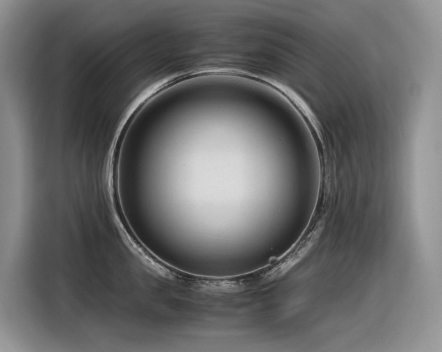 X0000116370957200912021151
