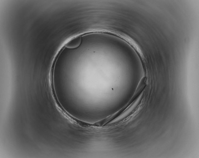 X0000116370958200912021151