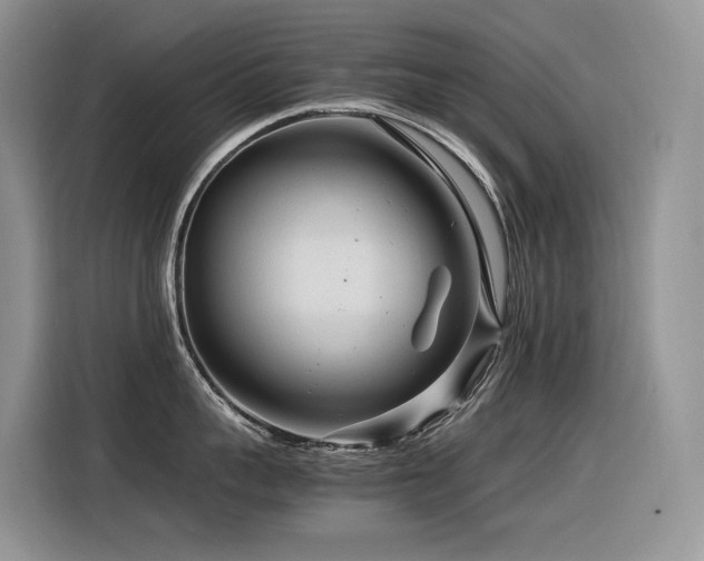 X0000116370959200912021151