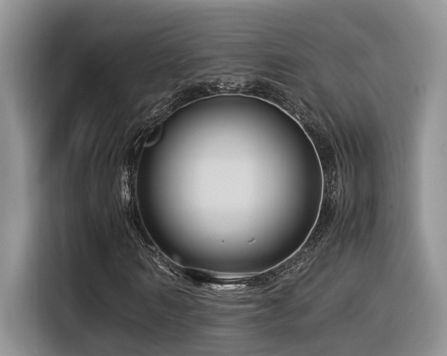X0000116370962200912021150