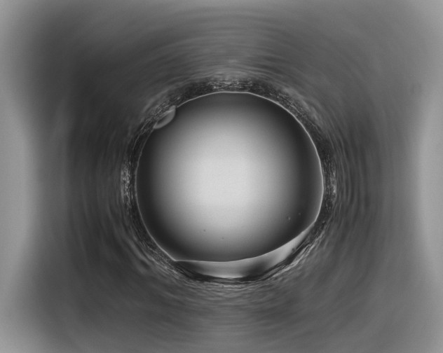 X0000116370964200912021150