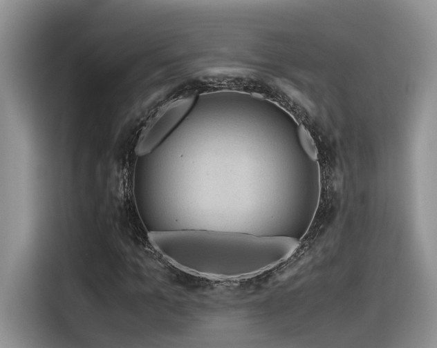 X0000116370965200912021150