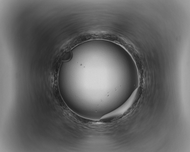 X0000116370966200912021150