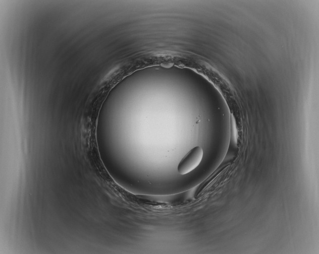 X0000116370968200912021150