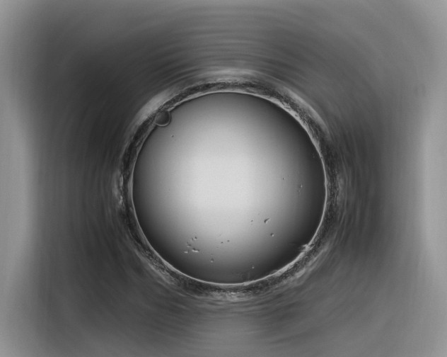 X0000116370970200912021150