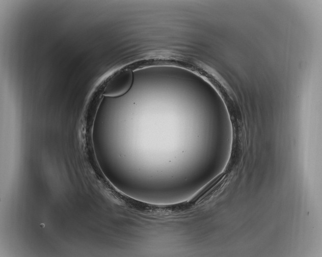 X0000116370971200912021150