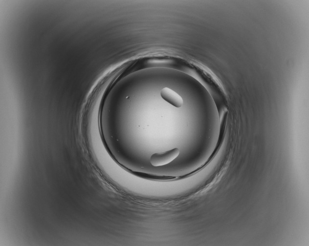 X0000116370973200912021150