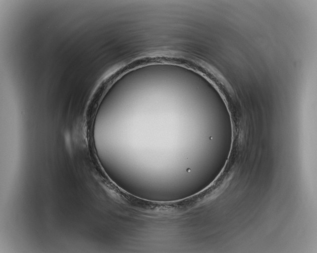 X0000116370974200912021150