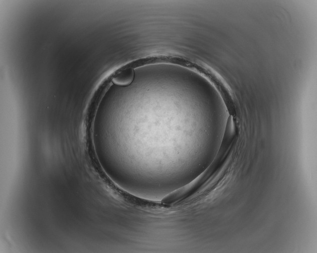 X0000116370975200912021150