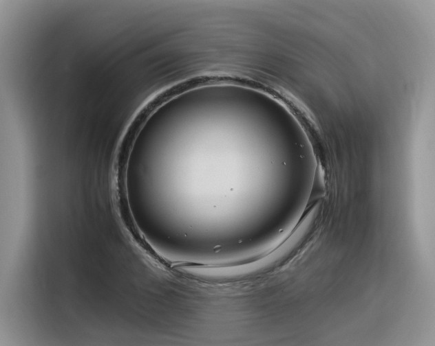 X0000116370976200912021150