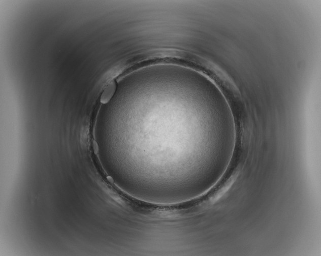 X0000116370977200912021150