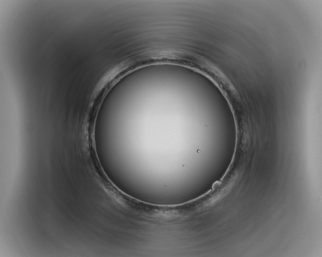 X0000116370978200912021150