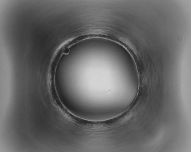 X0000116370979200912021150