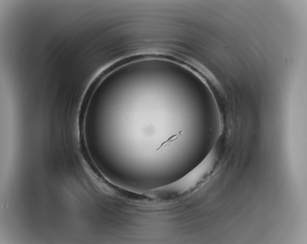 X0000116370980200912021150