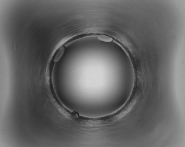 X0000116370981200912021150