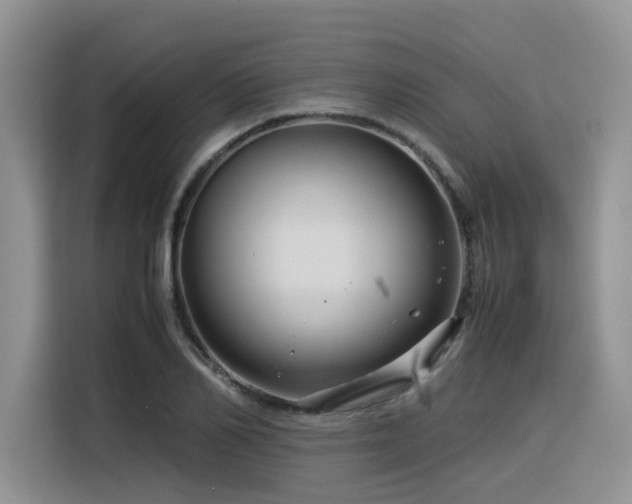 X0000116370982200912021150