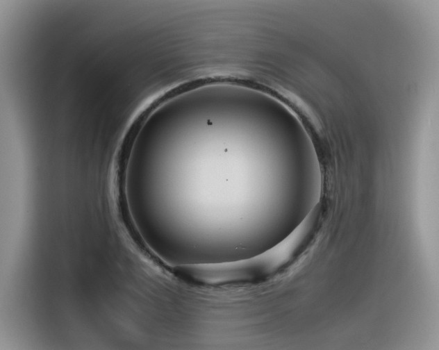 X0000116370983200912021150