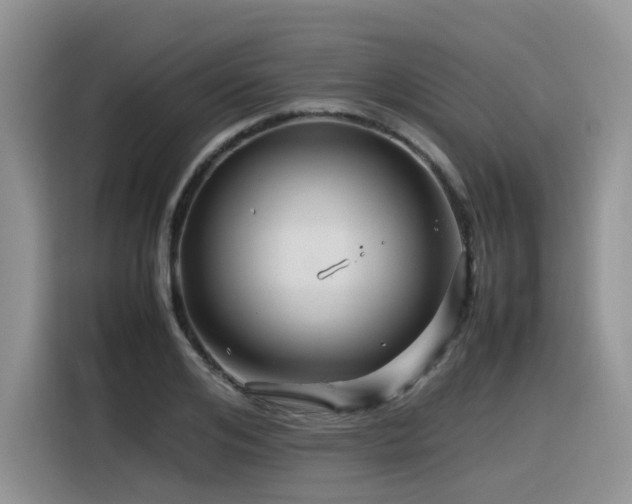 X0000116370984200912021150