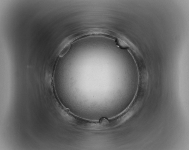X0000116370985200912021150