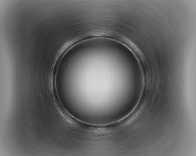 X0000116370986200912021150