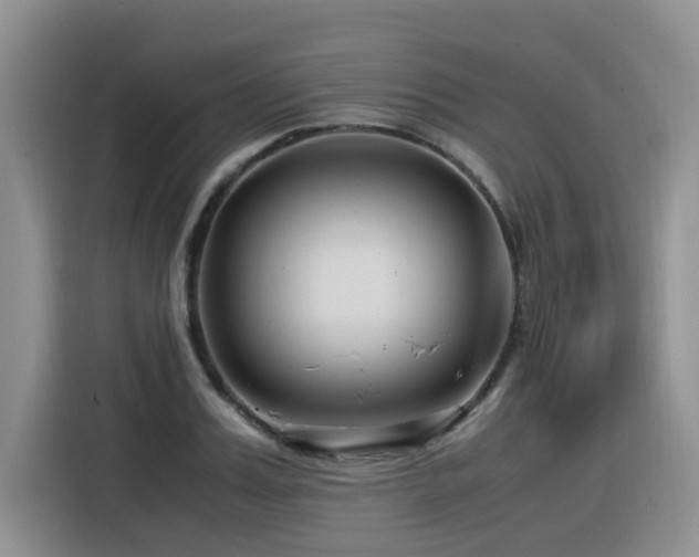 X0000116370987200912021150