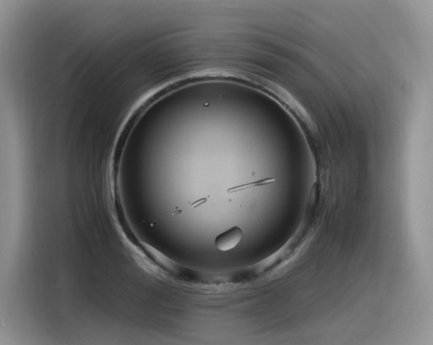 X0000116370988200912021150