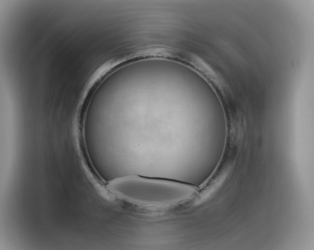 X0000116370989200912021150
