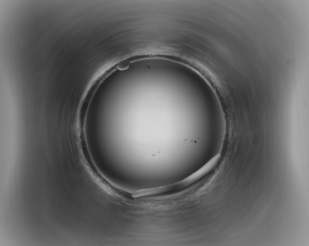 X0000116370990200912021150