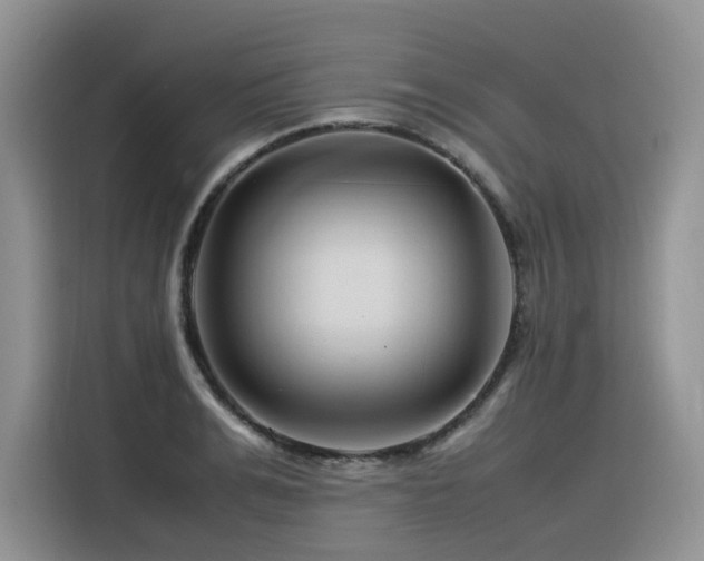 X0000116370991200912021150