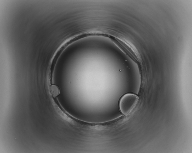 X0000116370992200912021150