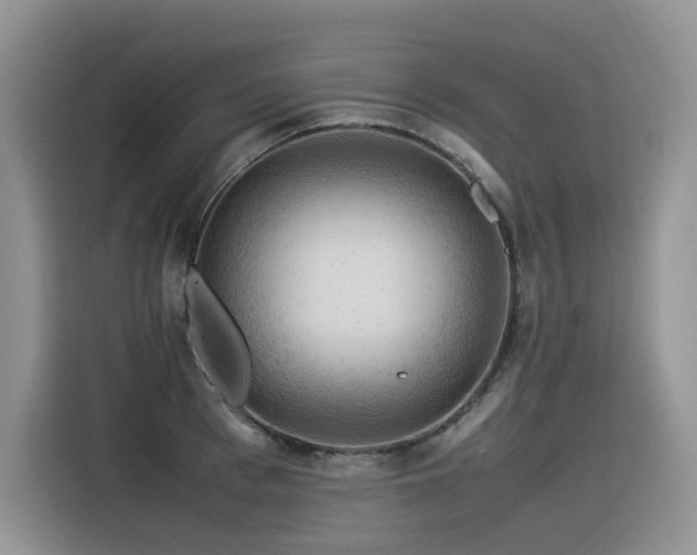 X0000116370993200912021150