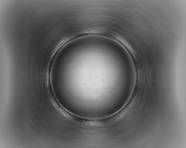 X0000116370994200912021150