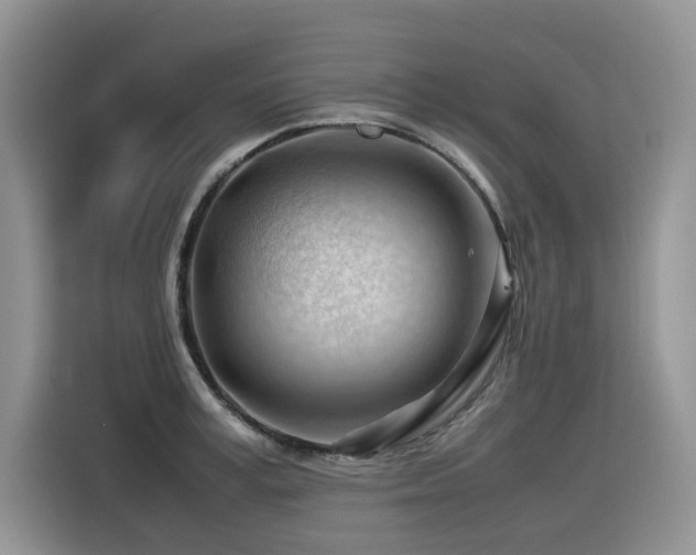 X0000116370995200912021150