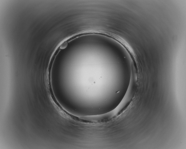X0000116370996200912021150