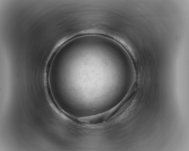 X0000116370998200912021150
