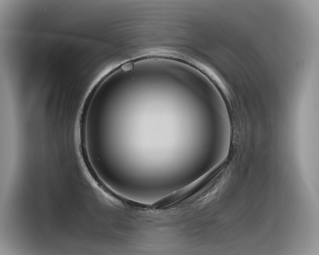 X0000116370999200912021150