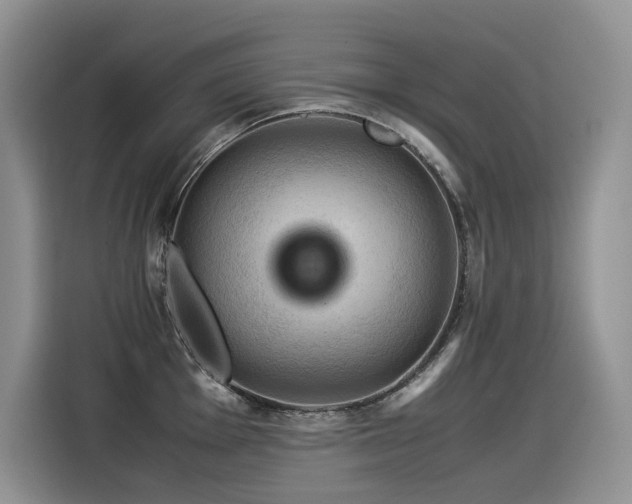 X0000116371001200912021150