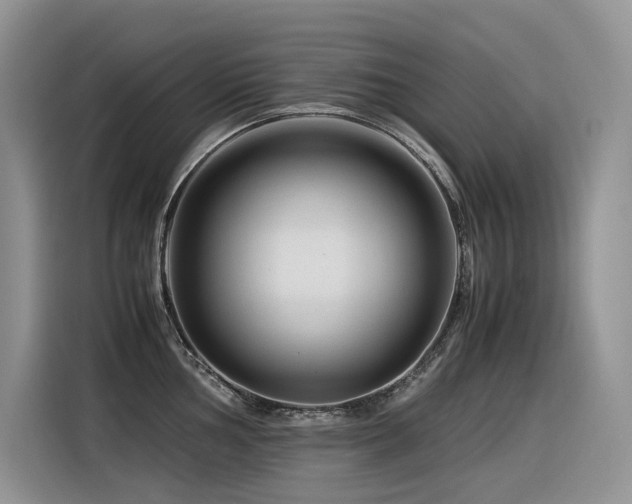 X0000116371002200912021150