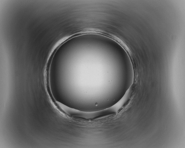 X0000116371003200912021150