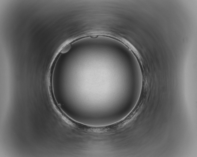 X0000116371005200912021150