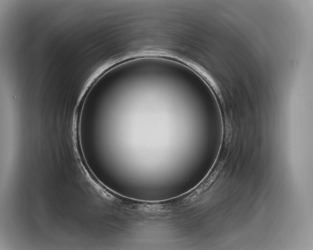 X0000116371006200912021150