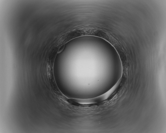 X0000116371010200912021149