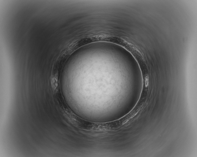 X0000116371011200912021149