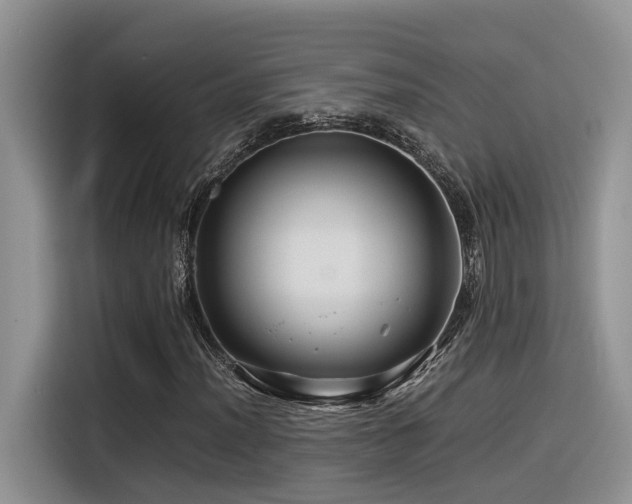 X0000116371012200912021149