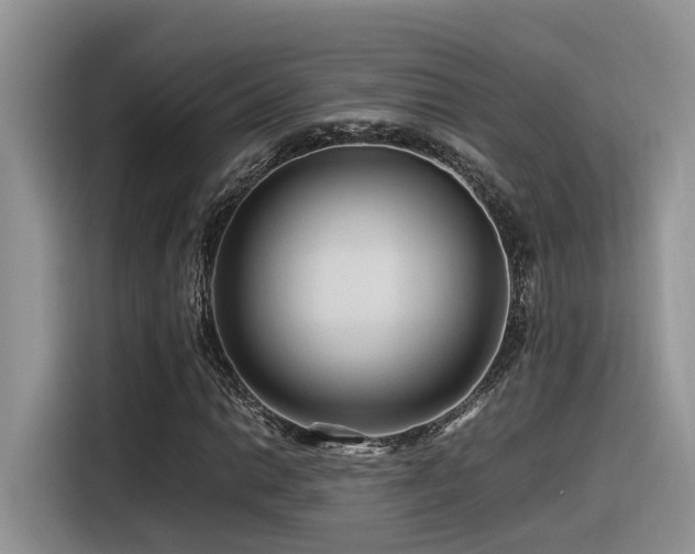 X0000116371014200912021149