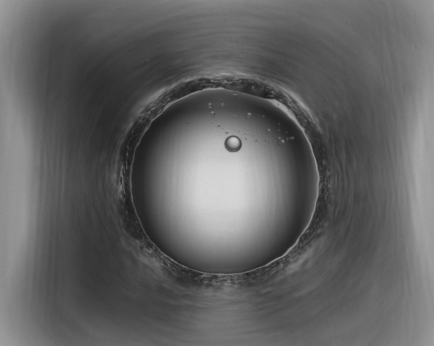 X0000116371016200912021149