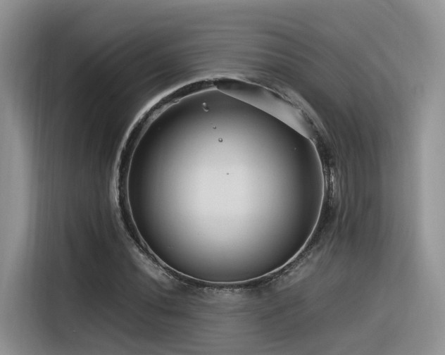 X0000116371020200912021149